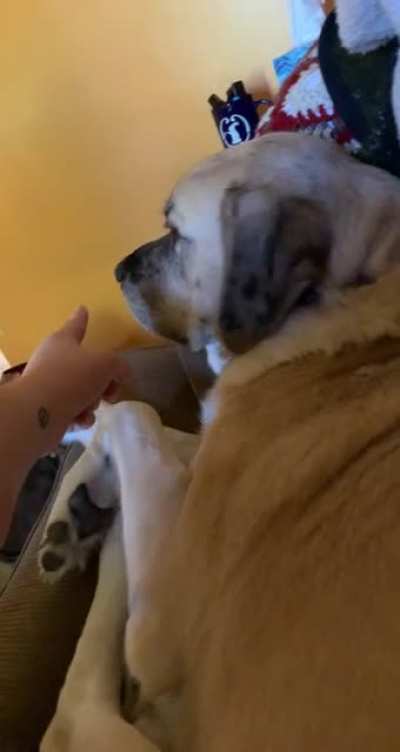 NO ? BOOP ? ZONE ?