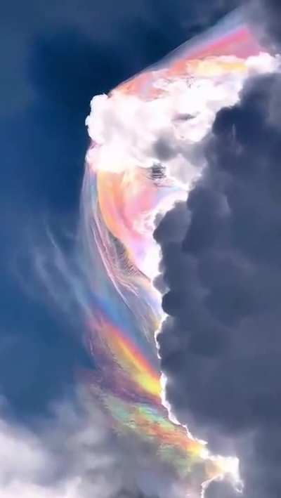 the pileus formation