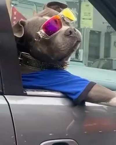 Coolest boy ?