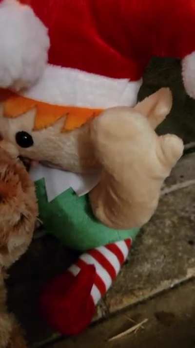 Merry Krampus ???