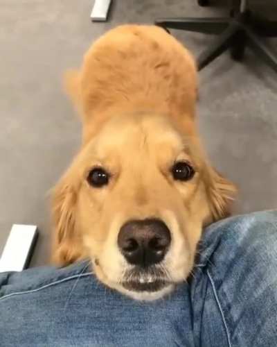 "Well, it's not gonna boop itself!"