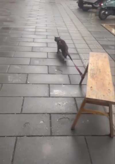 "I'm done"