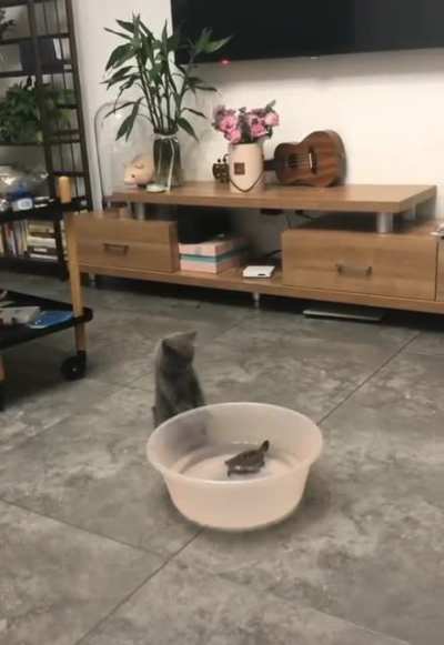 "Did the thing just move..? holy shit it moved!!!"