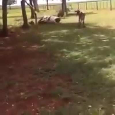 ? An unstoppable force meets an immovable object