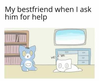 Friendship