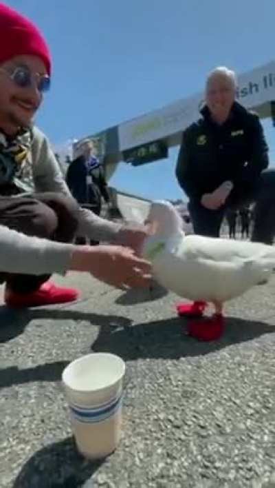 Maybe Maybe Maybe