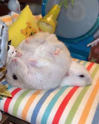 Furry potatoes