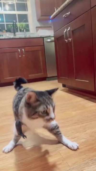 Maybe Maybe Maybe