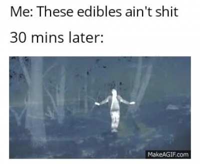 Midnight vibes