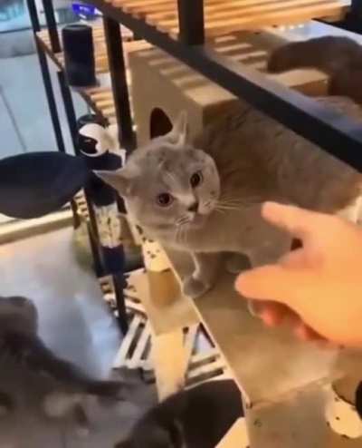 NO !!!!!!!!!!!!