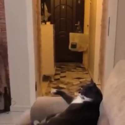 "Some Day, And That Day Will Come, I Will Call Upon You To Open a Can Of Tuna For Me." --Don Catleone