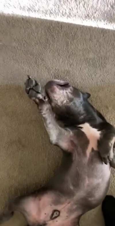 You okay there bud?