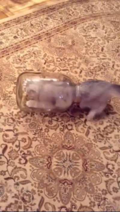 Maybe maybe maybe