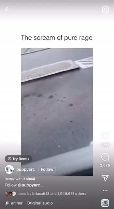 The scream of pure rage