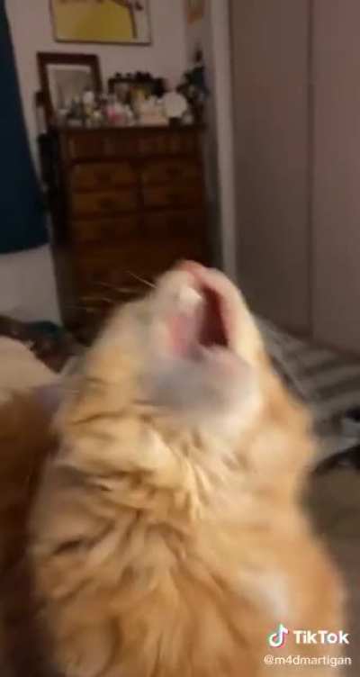 The DRAMA