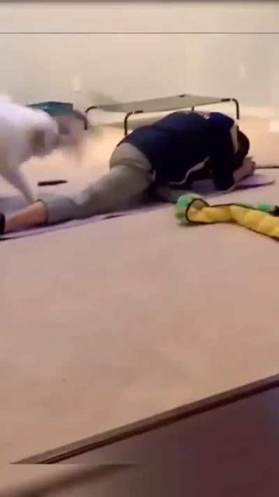 imma whoop ur ass