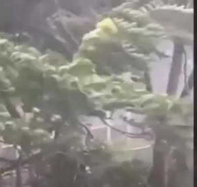 to take shelter