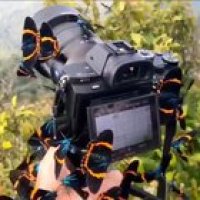 ? Photographing in the forest