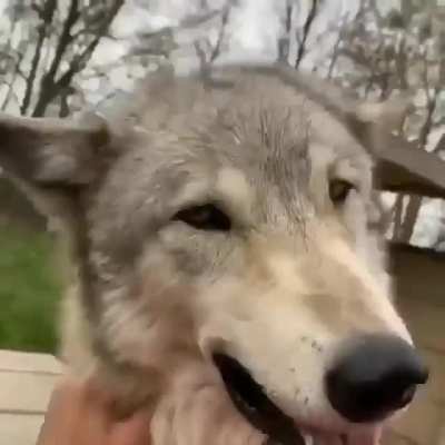 ?❣️