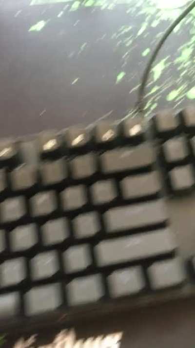 Even the monitor is rgb