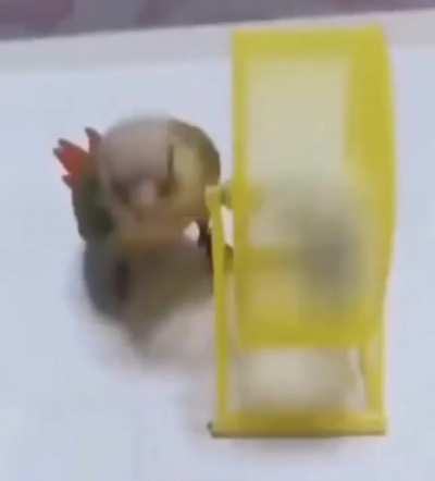 Maybe Maybe Maybe