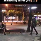 Making friends