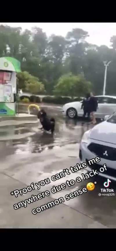I need to be friends with this guy