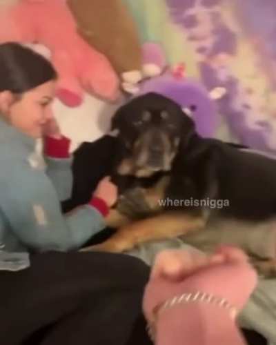 Doggo