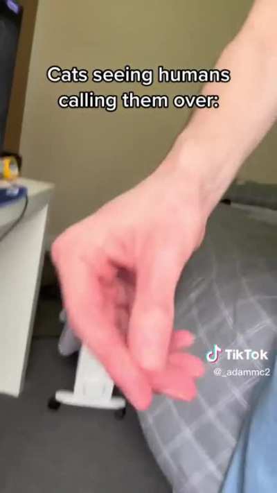 This and the "pspspsps" combo always works