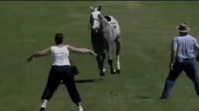 This woman really thought she could singlehandedly stop a charging horse ?
