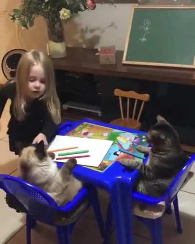 Kid teaches her cats ?❤️