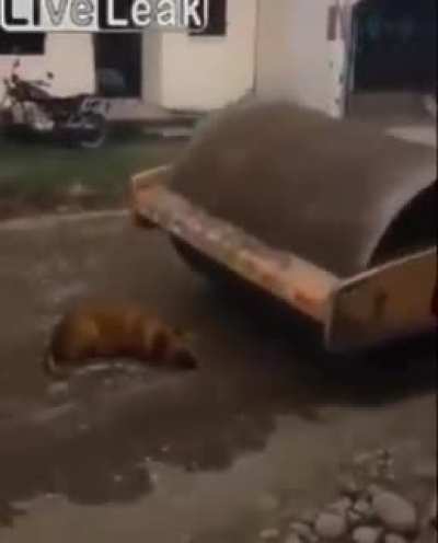 nononononoyes