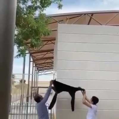 Maybe Maybe Maybe