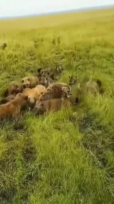 Squad to rescue