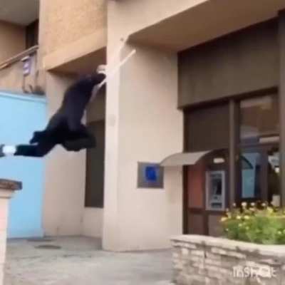 ...at handicapped parkour
