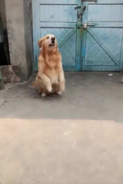 "love me please - forget about him!"