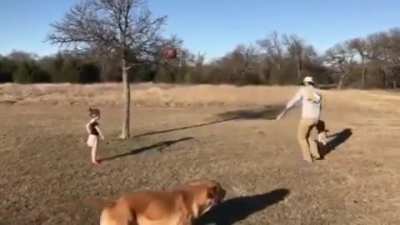 Perfect kick