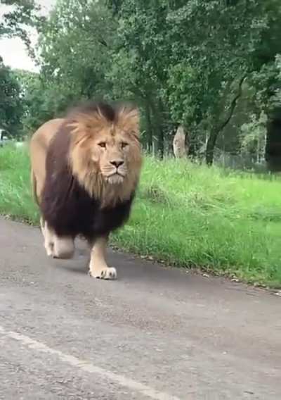 ? His Majesty