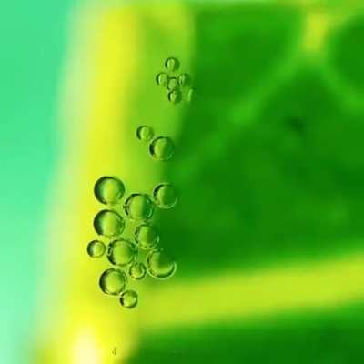 Real-time oxygen production on a leaf ?