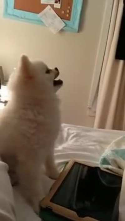 A sneeze has never felt this strange