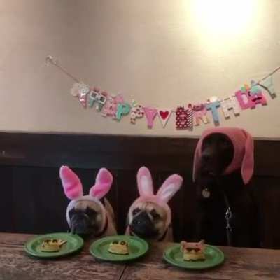 Happy birthday ?