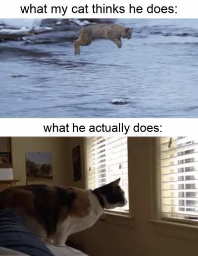 To jump