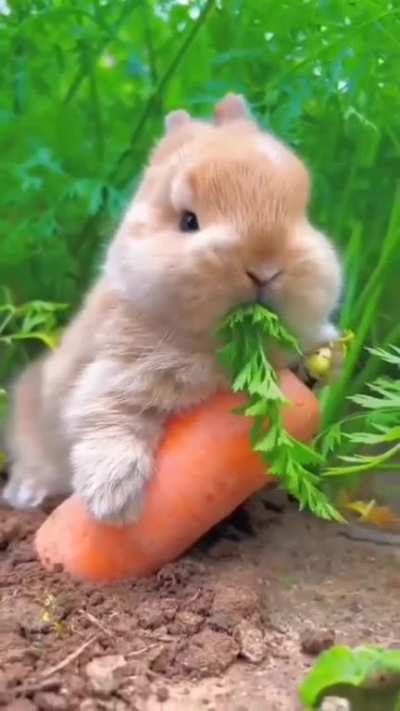 The cutest video you'll see today ?