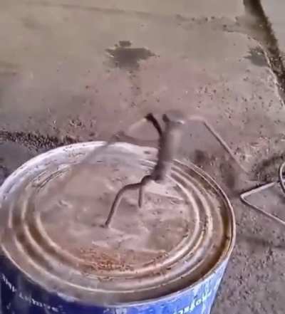 balance