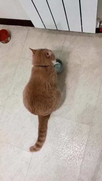 I need food