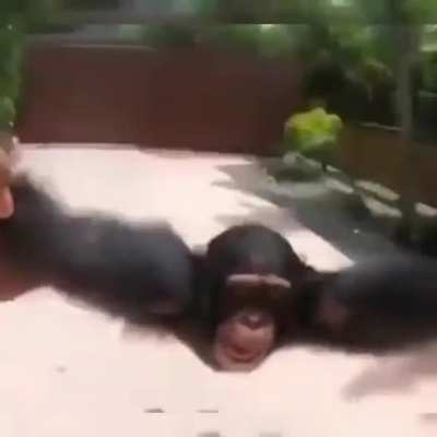 Monke happii