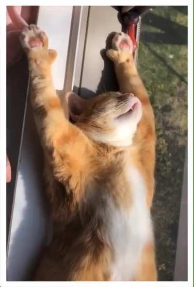 ? Relaxing time ?