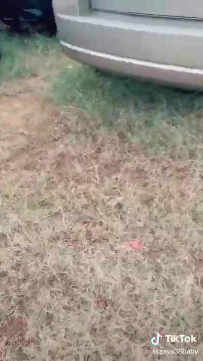 He's tired of it!