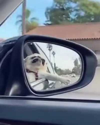 Hope this makes you all as happy as it made me