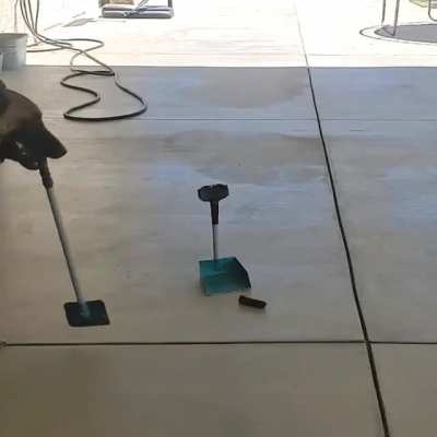 The rarest pupper of all.